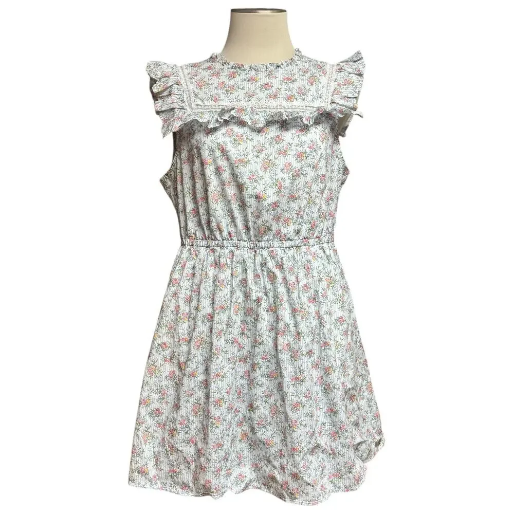 J.Crew Liberty Fabric Winding Roses Sleeveless Dress Blue White Stripe Large